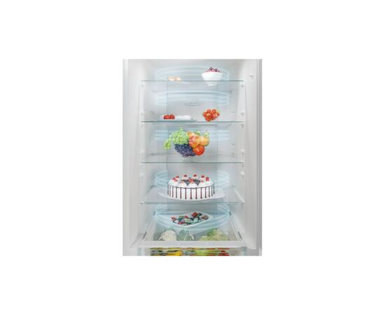 Холодильник Candy CCE4T620ES, изображение 8 Холодильник Candy CCE4T620ES, изображение 8