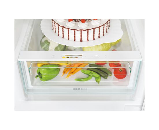 Холодильник Candy CCE4T620EB, изображение 8 Холодильник Candy CCE4T620EB, изображение 8