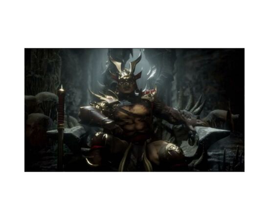 Гра Sony Mortal Kombat 11 [PS4, Russian subtitles] (5051891167728), зображення 3