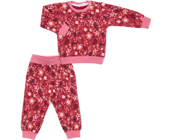 Набір дитячого одягу Breeze на флісі (17306-80G-red)