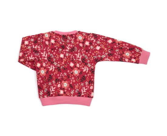 Набор детской одежды Breeze на флисе (17306-86G-red), изображение 5 Набор детской одежды Breeze на флисе (17306-86G-red), изображение 5