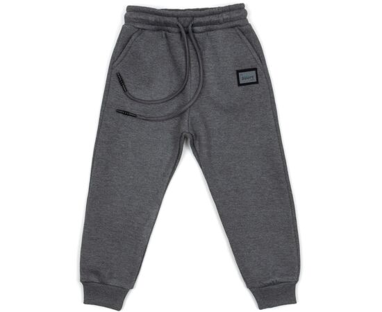 Штани дитячі Cloise на флісі (CL0155013-116-gray)