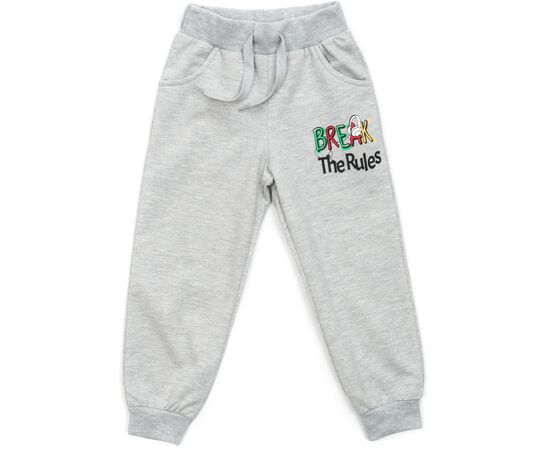 Спортивний костюм Breeze флісовий (18016-110B-gray), зображення 3