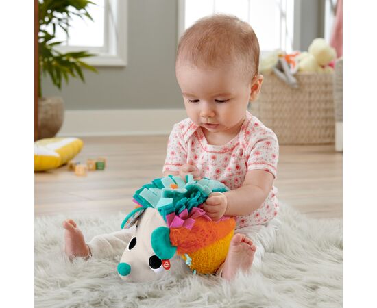 Развивающая игрушка Fisher-Price Цветной ежик (HBP42), изображение 4 Развивающая игрушка Fisher-Price Цветной ежик (HBP42), изображение 4