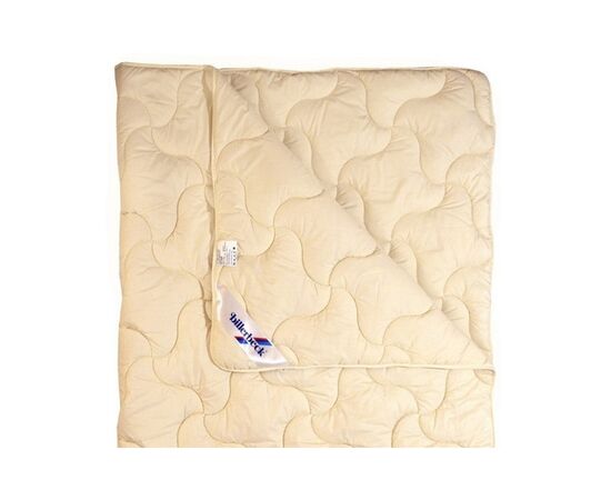 Одеяло Billerbeck Нина 110х140 (0204-20/00), изображение 2 Одеяло Billerbeck Нина 110х140 (0204-20/00), изображение 2