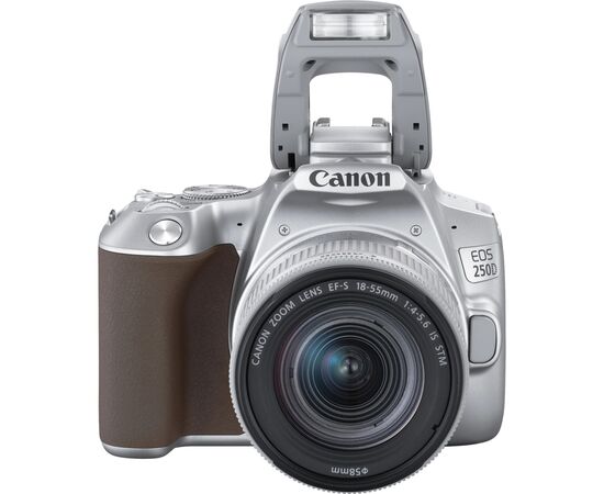 Цифровой фотоаппарат Canon EOS 250D kit 18-55 IS STM Silver (3461C003), изображение 6 Цифровой фотоаппарат Canon EOS 250D kit 18-55 IS STM Silver (3461C003), изображение 6
