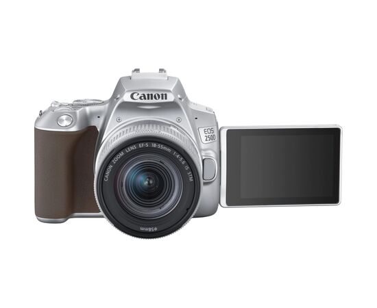 Цифровой фотоаппарат Canon EOS 250D kit 18-55 IS STM Silver (3461C003), изображение 7 Цифровой фотоаппарат Canon EOS 250D kit 18-55 IS STM Silver (3461C003), изображение 7