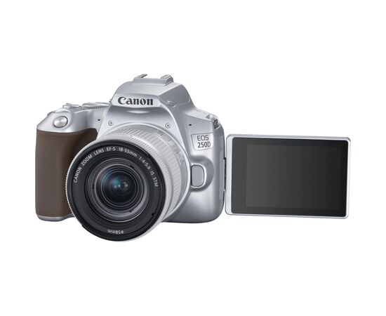 Цифровой фотоаппарат Canon EOS 250D kit 18-55 IS STM Silver (3461C003), изображение 8 Цифровой фотоаппарат Canon EOS 250D kit 18-55 IS STM Silver (3461C003), изображение 8