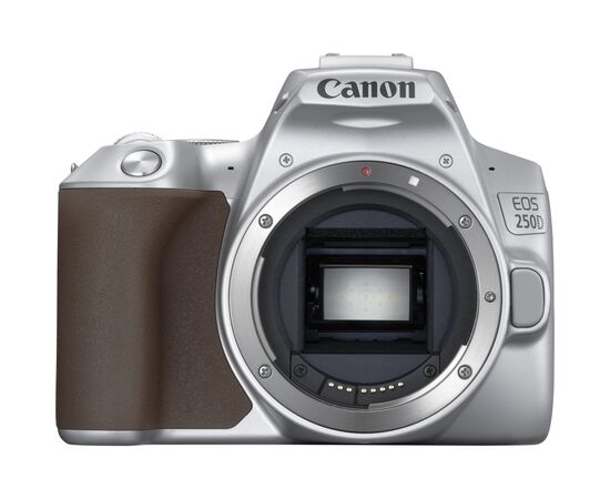 Цифровой фотоаппарат Canon EOS 250D kit 18-55 IS STM Silver (3461C003), изображение 9 Цифровой фотоаппарат Canon EOS 250D kit 18-55 IS STM Silver (3461C003), изображение 9