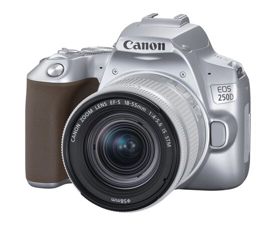 Цифровой фотоаппарат Canon EOS 250D kit 18-55 IS STM Silver (3461C003)
