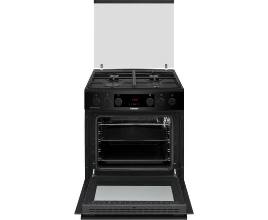 Плита Hansa FCMM69329, изображение 2 Плита Hansa FCMM69329, изображение 2