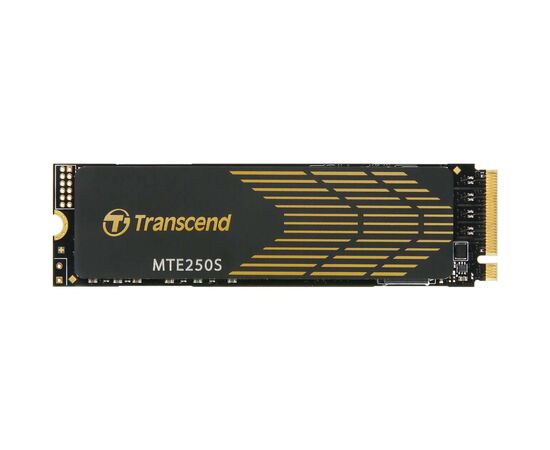 Накопитель SSD M.2 2280 1TB Transcend (TS1TMTE250S)