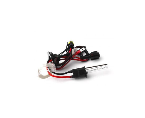 Автолампа Winso H1 6000K, 85V, 35W P14.5s (741600), изображение 3