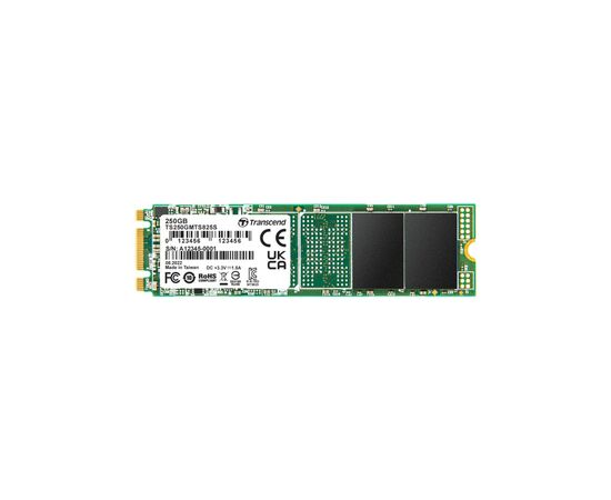 Накопитель SSD M.2 2280 250GB Transcend (TS250GMTS825S)