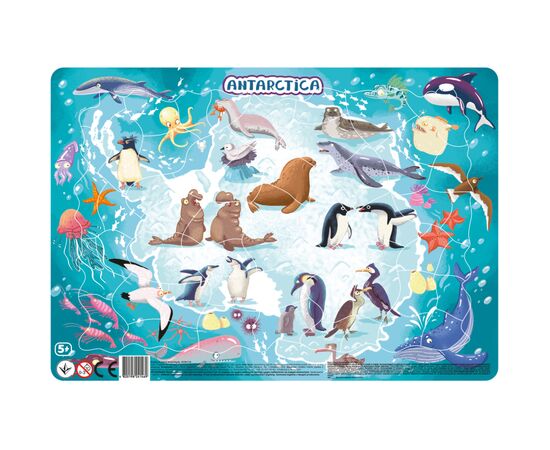 Пазл DoDo з рамкою Антарктида (R300176)