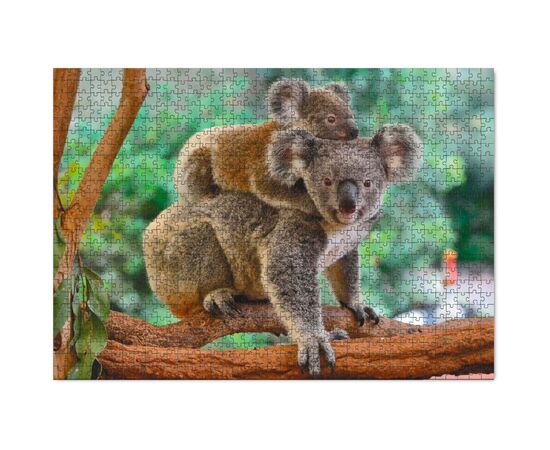 Пазл DoDo Маленькая коала с мамой, 1000 элементов (301183), изображение 2 Пазл DoDo Маленькая коала с мамой, 1000 элементов (301183), изображение 2