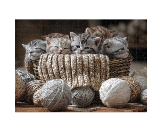 Пазл DoDo Милые котята, 500 элементов (300534), изображение 4 Пазл DoDo Милые котята, 500 элементов (300534), изображение 4