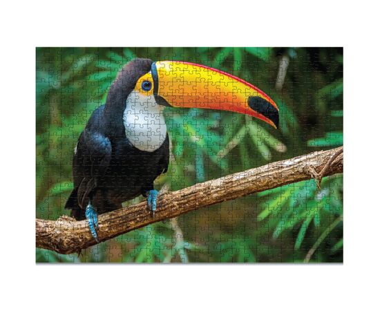 Пазл DoDo Птица Тукан. Бразилия, 500 элементов (300400), изображение 2 Пазл DoDo Птица Тукан. Бразилия, 500 элементов (300400), изображение 2