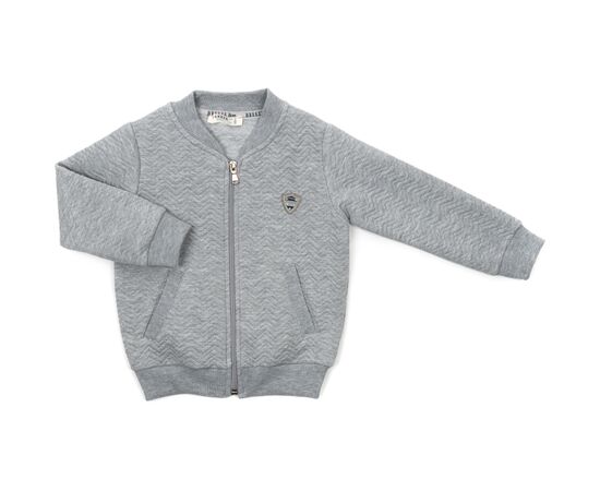 Кофта Breeze на блискавці (18292-116B-gray)