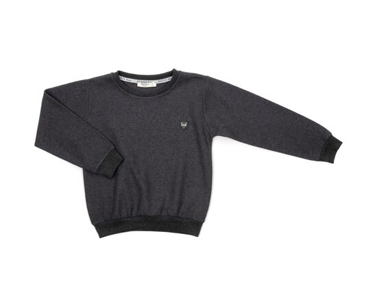 Спортивный костюм Breeze с эмблемой (18239-116B-gray), изображение 2 Спортивный костюм Breeze с эмблемой (18239-116B-gray), изображение 2