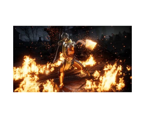 Игра Nintendo Mortal Kombat 11, картридж (5051895412237), изображение 2 Игра Nintendo Mortal Kombat 11, картридж (5051895412237), изображение 2