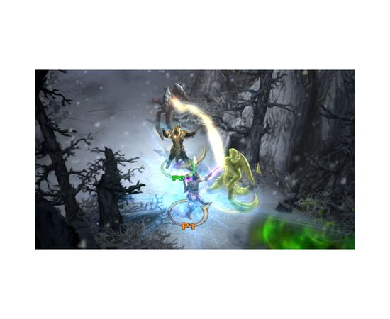 Игра Nintendo Diablo III: Eternal Collection, картридж (5030917259012), изображение 3 Игра Nintendo Diablo III: Eternal Collection, картридж (5030917259012), изображение 3