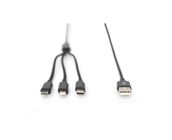 Дата кабель USB 2.0 AM to Lightning + Micro 5P + Type-C 1.0m charge only Digitus (AK-300160-010-S), изображение 6 Дата кабель USB 2.0 AM to Lightning + Micro 5P + Type-C 1.0m charge only Digitus (AK-300160-010-S), изображение 6