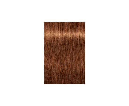 Краска для волос Schwarzkopf Professional Igora Royal Dusted Rouge 7-764 60 мл (4045787405149), изображение 2 Краска для волос Schwarzkopf Professional Igora Royal Dusted Rouge 7-764 60 мл (4045787405149), изображение 2