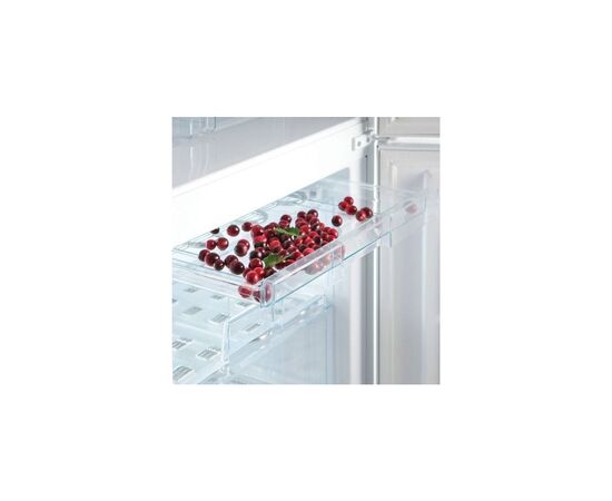 Холодильник Snaige RF53SM-S5RB2F, изображение 4 Холодильник Snaige RF53SM-S5RB2F, изображение 4