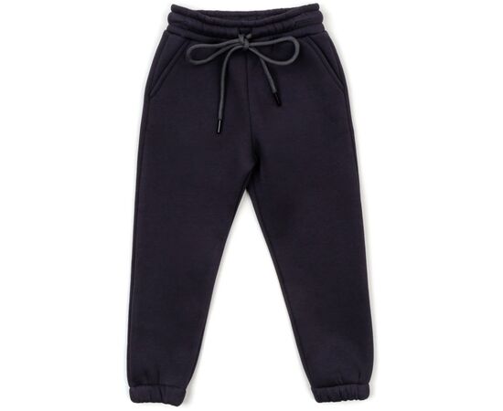 Штани дитячі Cloise спортивні флісові (CL0155017-104-gray)