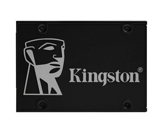 Накопитель SSD 2.5" 256GB Kingston (OCP0S3256B-A0)