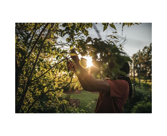 Секатор Fiskars Plus SmartFit P541, 26.5см, 194г (1057169), изображение 6 Секатор Fiskars Plus SmartFit P541, 26.5см, 194г (1057169), изображение 6