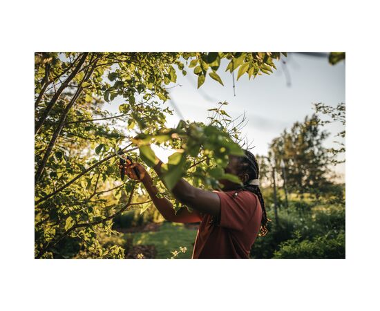 Секатор Fiskars Solid P 321, 26 см, 181гр (1057162), изображение 4 Секатор Fiskars Solid P 321, 26 см, 181гр (1057162), изображение 4