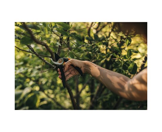 Секатор Fiskars Solid P 321, 26 см, 181гр (1057162), изображение 6 Секатор Fiskars Solid P 321, 26 см, 181гр (1057162), изображение 6