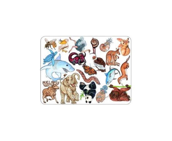 Настольная игра Djeco Занималка (Zanimatch) (DJ05153), изображение 2