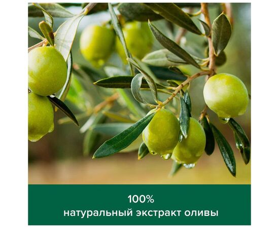 Гель для душа Palmolive Натурэль Интенсивное увлажнение Экстракт оливы с увлажняющим молочком 750 мл (8850006534182), изображение 3 Гель для душа Palmolive Натурэль Интенсивное увлажнение Экстракт оливы с увлажняющим молочком 750 мл (8850006534182), изображение 3