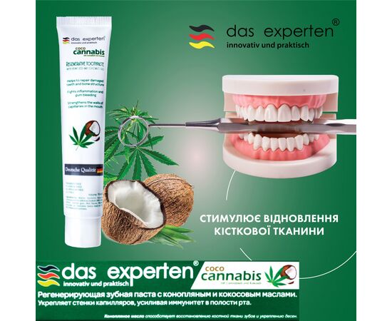 Зубная паста Das Experten Coco Cannabis с маслами кокоса и конопли 70 мл (4270001210647), изображение 3 Зубная паста Das Experten Coco Cannabis с маслами кокоса и конопли 70 мл (4270001210647), изображение 3