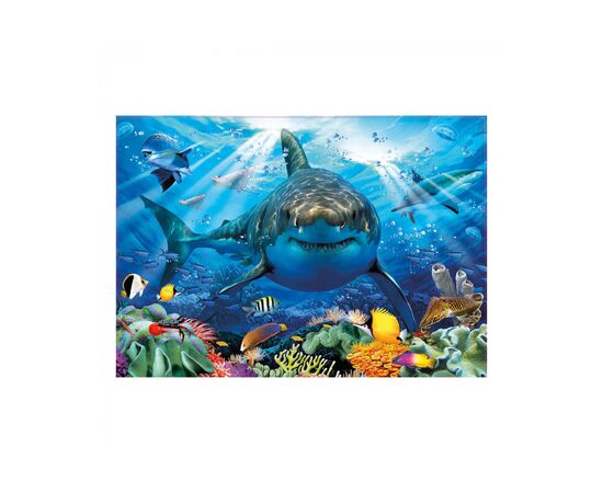 Пазл Educa Большая белая акула 500 элементов (6425281), изображение 2 Пазл Educa Большая белая акула 500 элементов (6425281), изображение 2