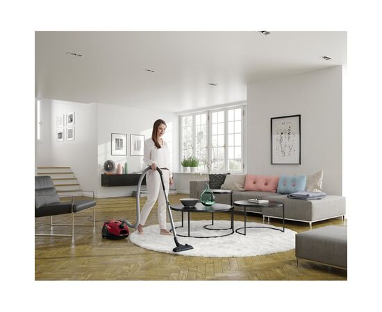 Пылесос Electrolux EPF61RR, изображение 5 Пылесос Electrolux EPF61RR, изображение 5