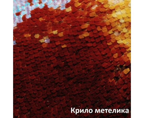 Микроскоп Bresser Biolux LCD Touch 50x-2000x (5201020) (928558), изображение 5 Микроскоп Bresser Biolux LCD Touch 50x-2000x (5201020) (928558), изображение 5