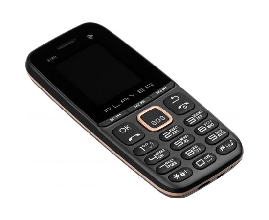 Мобильный телефон 2E S180 2021 без ЗП Black Gold (688130243384), изображение 8 Мобильный телефон 2E S180 2021 без ЗП Black Gold (688130243384), изображение 8