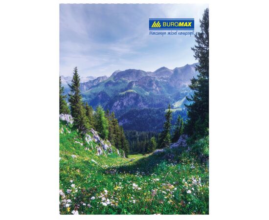 Канцелярская книга Buromax А4, 96 л., Клетка, твердая ламинированная обложка (BM.2430), изображение 2 Канцелярская книга Buromax А4, 96 л., Клетка, твердая ламинированная обложка (BM.2430), изображение 2