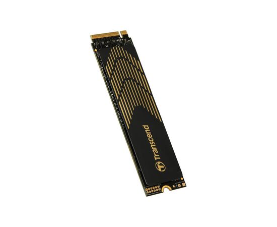 Накопитель SSD M.2 2280 4TB Transcend (TS4TMTE250S), изображение 3 Накопитель SSD M.2 2280 4TB Transcend (TS4TMTE250S), изображение 3