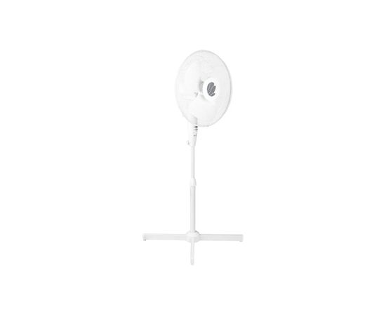 Вентилятор ECG FS 40a White (FS40a White), изображение 3 Вентилятор ECG FS 40a White (FS40a White), изображение 3