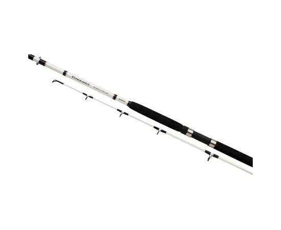 Удилище Shimano Vengeance AX Boat 2.40m max 300g (VAXBT240H)