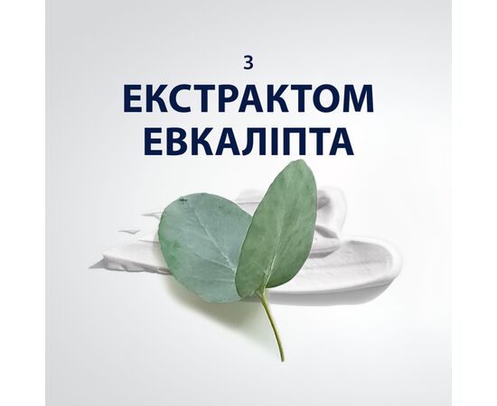 Пена для бритья Gillette Series Охлаждающая с эвкалиптом 200 мл (8001090872098), изображение 4 Пена для бритья Gillette Series Охлаждающая с эвкалиптом 200 мл (8001090872098), изображение 4