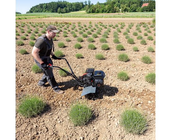 Культиватор AL-KO MH 540 мотокультиватор (113970), зображення 5 Культиватор AL-KO MH 540 мотокультиватор (113970), зображення 5