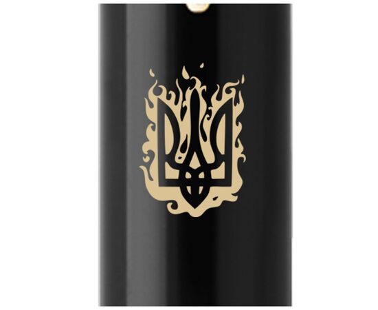 Ручка шариковая Parker IM 17 UKRAINE Black GT BP Огненный Трезубец (22032_T031y), изображение 2 Ручка шариковая Parker IM 17 UKRAINE Black GT BP Огненный Трезубец (22032_T031y), изображение 2