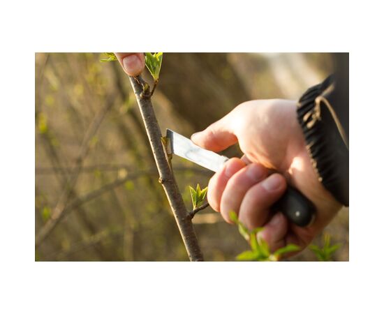 Нож монтажный Cellfast садовый для окулировки, 220 мм (40-262), изображение 2 Нож монтажный Cellfast садовый для окулировки, 220 мм (40-262), изображение 2