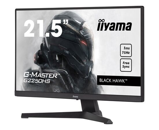 Монітор iiyama G2250HS-B1, зображення 4 Монітор iiyama G2250HS-B1, зображення 4